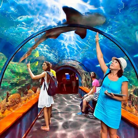 Apartment Parque Santiago Luxury 306 *