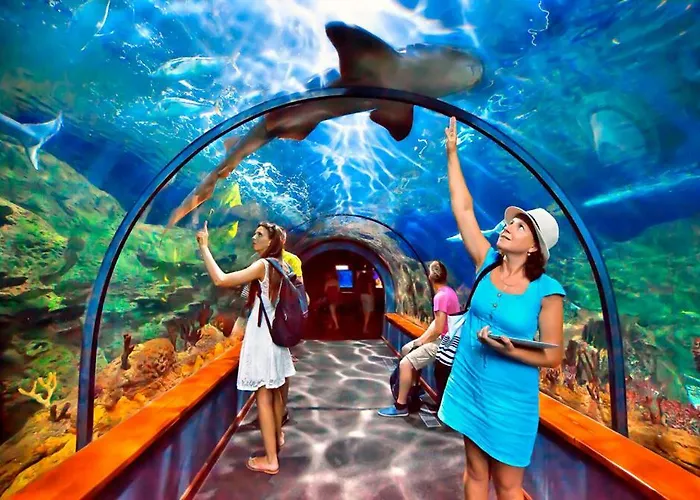 Appartamento Parque Santiago Luxury 306 *